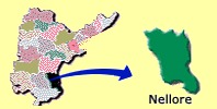 nellore